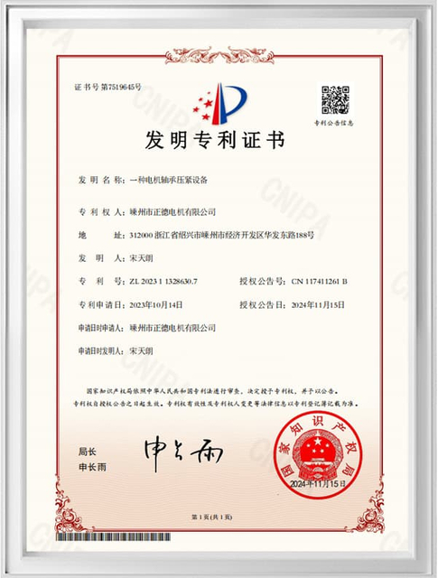Patent Certificate6