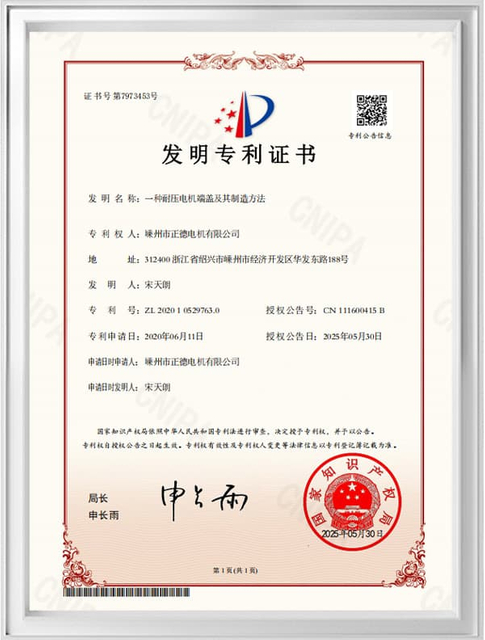 Patent Certificate8