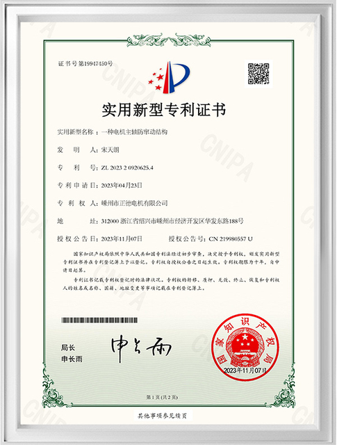 Patent-Certificate9